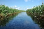 Danube Delta waterways